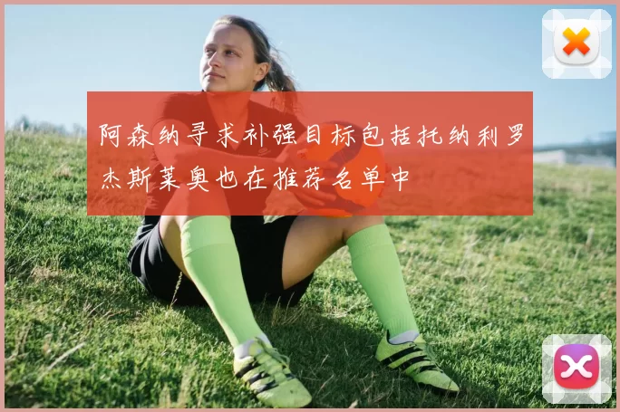 阿森纳寻求补强目标包括托纳利罗杰斯莱奥也在推荐名单中