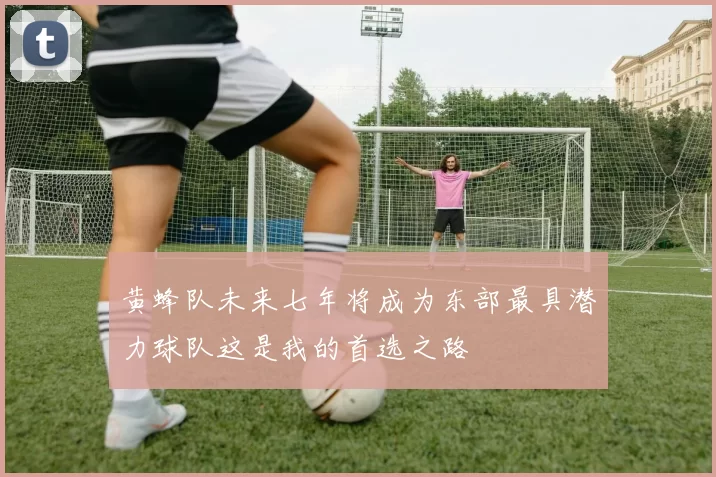 黄蜂队未来七年将成为东部最具潜力球队这是我的首选之路